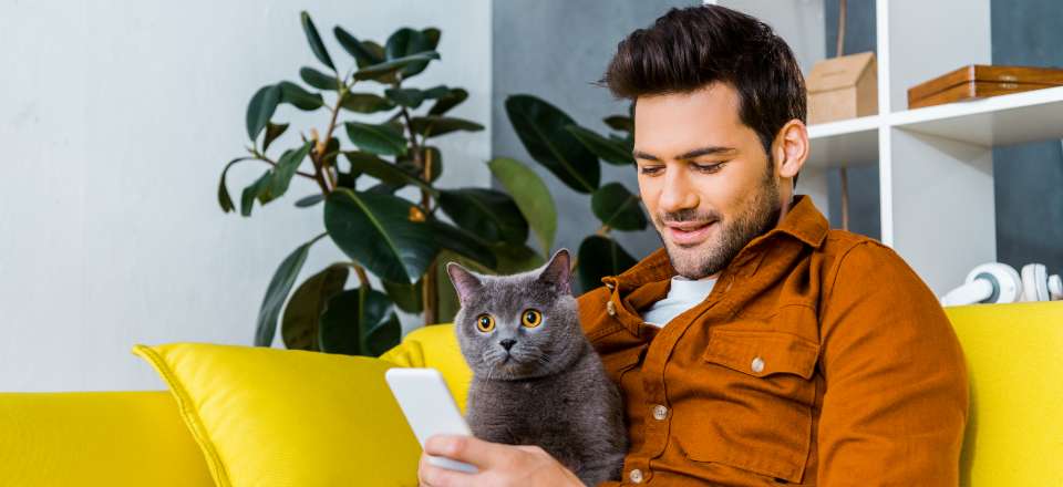 homem mexendo no celular com um gato no colo ilustra o  comportamento do consumidor no mercado cross border